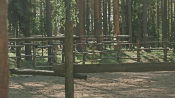 Pan Güneşli Bir Günde Orman Ağaçlarıyla Çevrili Ahşap Çitlerle Binerken — Stok video