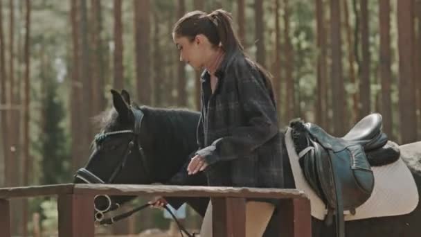 Νεαρή Γυναίκα Που Περπατά Άλογο Και Πρόκειται Καθίσει Στη Σέλα — Αρχείο Βίντεο