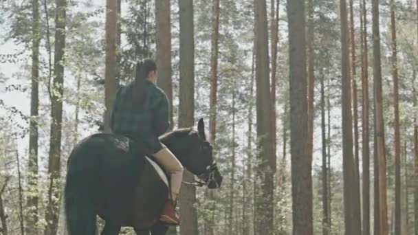 Full Slow Motion Colpo Giovane Donna Cavallo Nella Foresta Nella — Video Stock