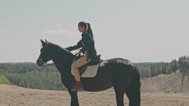 Wide Shot Young Female Rider Sitting Saddle Stroking Bay Horse — Stock Video