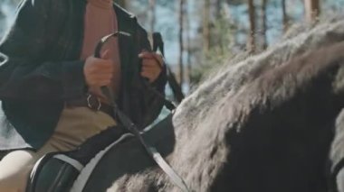 Ortalama bir el resmi, genç bir kadın binicinin eyer üzerinde oturduğu ve ormanda gezinirken güzel bir atı okşadığı.