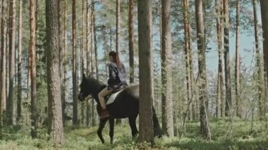 Yaz günü at sırtında çam ormanlarında at süren bir kadın resmi.