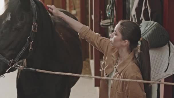 年轻妇女一边在农场的马厩里照看动物 一边用刷子刷马 — 图库视频影像