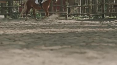 Atın eyerli binicisiyle açık havada koşan bacaklarının alçak kesiminden.