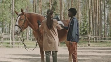 Jokey kasklı genç siyah adam ve genç bayan eğitmen güzel kestane atlarını okşuyor ve açık havada at binme dersinden sonra konuşuyorlar.