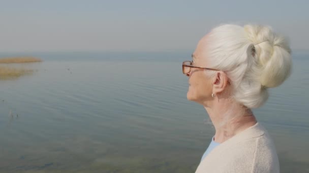 灰色头发的老年妇女站在码头上 凝视着风景清澈的湖面 海鸥在上面飞翔 — 图库视频影像