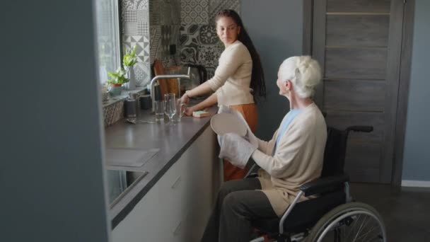 Помощник Няни Моет Посуду Пока Пожилая Женщина Инвалидной Коляске Сушит — стоковое видео
