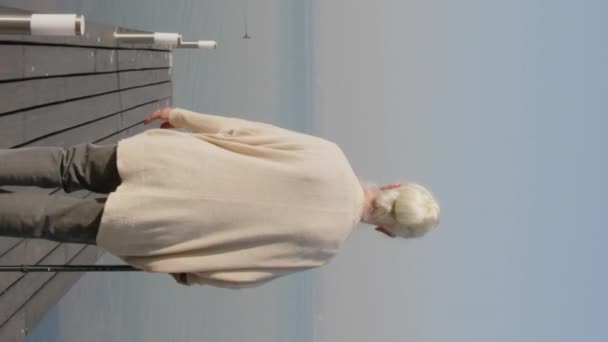清晨白发苍苍的老年妇女拿着手杖走到木制码头边 观赏湖景的垂直后视图拍摄 — 图库视频影像