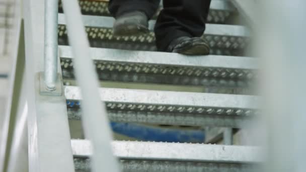 Tiro Cortado Pernas Trabalhador Masculino Irreconhecível Descendo Escadas Planta Industrial — Vídeo de Stock