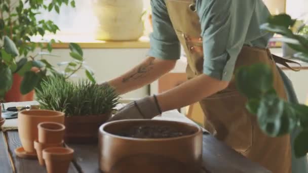 Kallistaa Kuvaa Nainen Valmistelee Maaperää Potin Istuttaa Siemeniä Työskennellessään Sisätiloissa — kuvapankkivideo