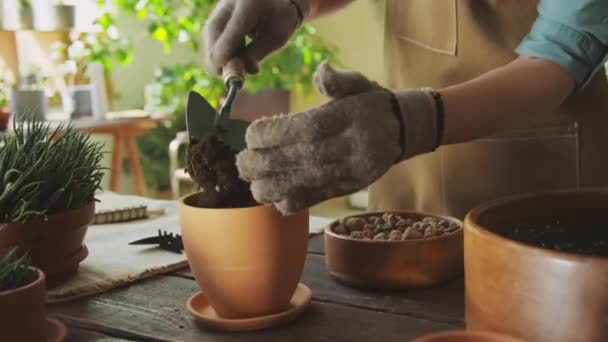 Tanımlanamayan Bir Uzmanın Portakallarıyla Bahçıvanlık Yaparken Toprağı Çömleğe Atması — Stok video