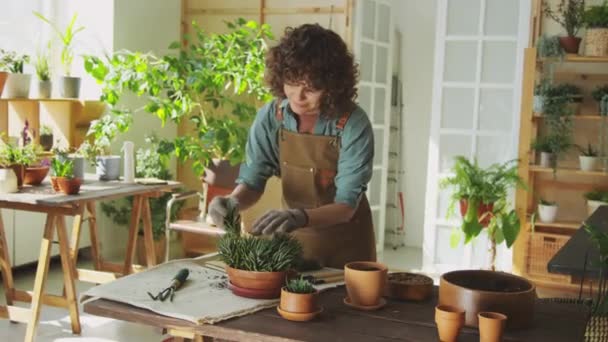 ホームガーデンで働いている間 植物の世話をする女性の中長いショット — ストック動画