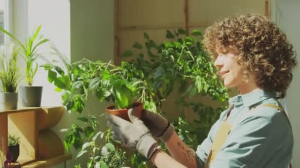 Bahçesinde Bitki Yetiştirirken Sulu Şeyler Sıkan Hevesli Bir Kadının Yan — Stok video