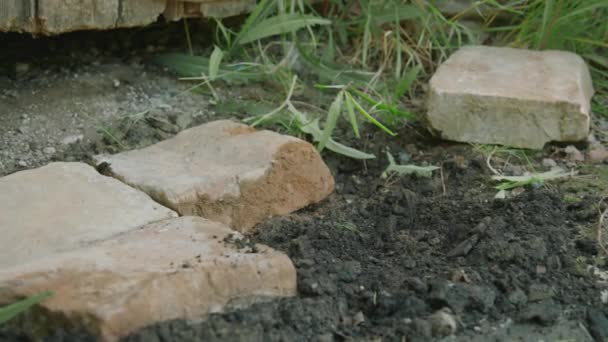 Tutup Tangan Dari Pembangun Melakukan Jalan Menempatkan Batu Tanah — Stok Video
