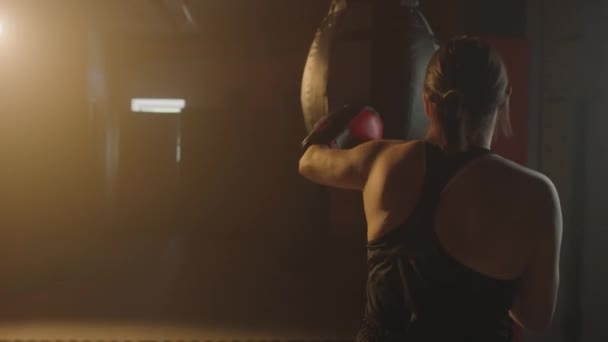 Mediana Tiro Largo Las Deportistas Saludándose Ring Boxeo — Vídeos de Stock