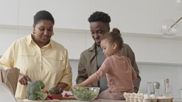 Africká Americká Matka Krájí Cherry Rajčata Salát Mluví Manželem Drží — Stock video