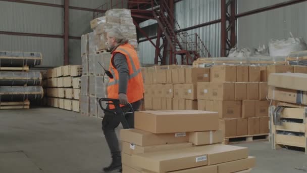 Achteraanzicht Van Rijpe Magazijnmedewerker Laadpallet Met Containers Opslagruimte — Stockvideo