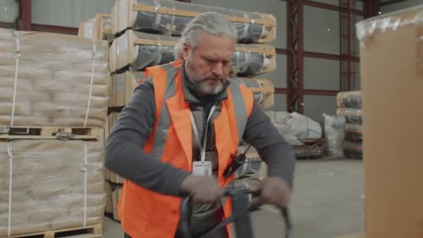 特別な装置が付いている貨物をホイストする男性の貯蔵労働者に来る女性のための中型のショット — ストック動画