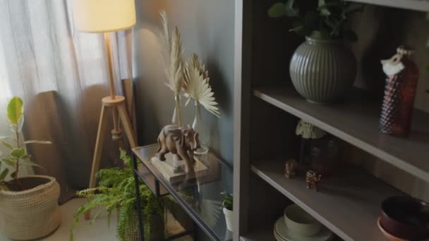没有人在舒适的客厅里拍到有落地灯 绿色家居植物 桌子上的大象雕像和书架上的照片 — 图库视频影像