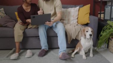Gündüz hangi filmi izleyeceklerini seçerken çağdaş oturma odasındaki gri kanepede sevgili köpekleri Beagle 'ın yanında otururken ırklar arası güzel bir çiftin çekimini çekiyorlar.