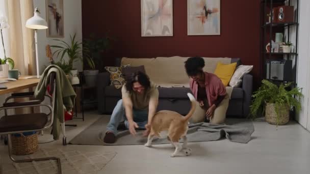 在时尚的现代公寓里 一对快乐的跨种族年轻夫妇坐在地板上 把球扔给他们聪明 顽皮的小猎犬 在家里消磨时光 — 图库视频影像