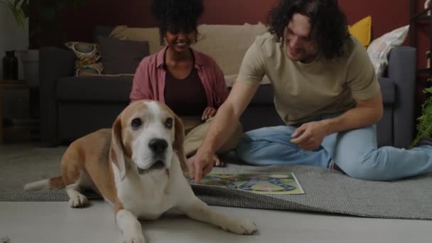 快乐的多种族年轻夫妇一起在家里玩棋盘游戏 和他们可爱的小猎犬一起坐在地板上 — 图库视频影像