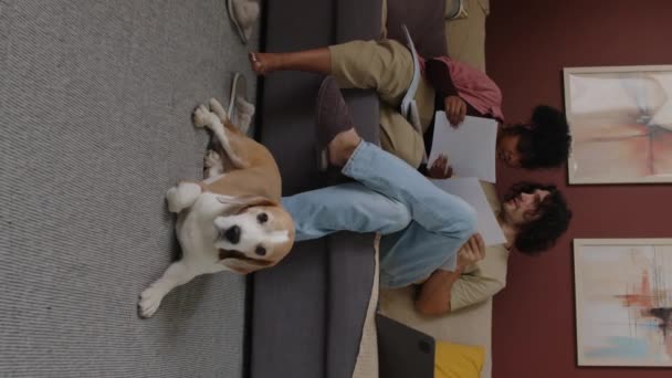 这对年轻的跨种族夫妇在管理家庭预算的同时 一边翻阅纸质账单和收据 一边坐在客厅的沙发上 一边在旁边的地毯上躺着他们可爱的小猎犬 — 图库视频影像