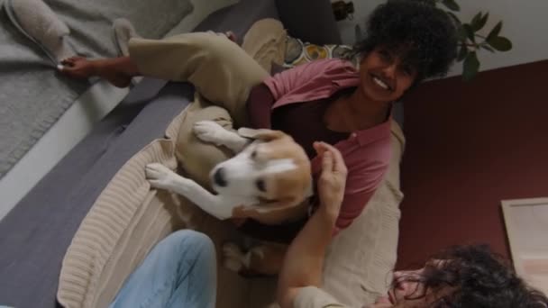 Vertikal Håndholdt Pov Ungt Mangfoldig Par Med Nydelig Beagle Opptak – stockvideo