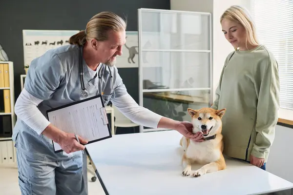 Caucasian middle-aged vet doctor petting dog of his female visitor during appointment at clinic