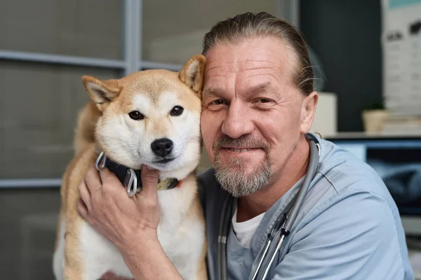 Medium closeup of middle-aged vet doctor and shiba inu posing together in clinic looking at camera