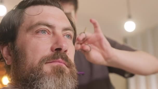 Close Tiro Barbudo Cliente Masculino Sentado Barbearia Enquanto Cabeleireiro Cortar — Vídeo de Stock