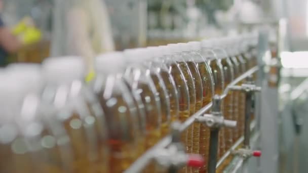 Κοντινό Πλάνο Της Γραμμής Κινείται Γεμάτη Λεμονάδα Πλαστικά Μπουκάλια Αυτόματα — Αρχείο Βίντεο