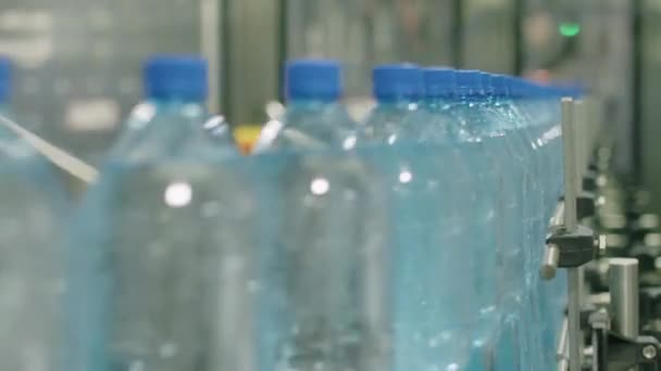 Fokus Rak Botol Pet Dengan Air Suling Murni Bergerak Pada — Stok Video