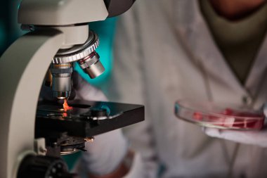 Mikroskop büyütme, bilim adamı merceğinin altına küçük bir parça et koyuyor.