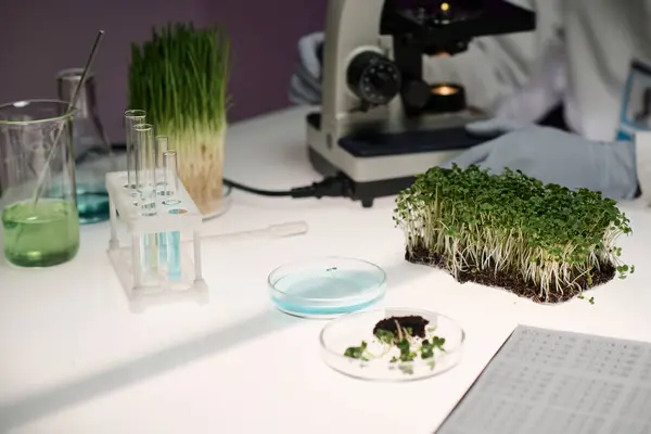 Desk in laboratory with labware and herbs displayed on it, scientist working on background