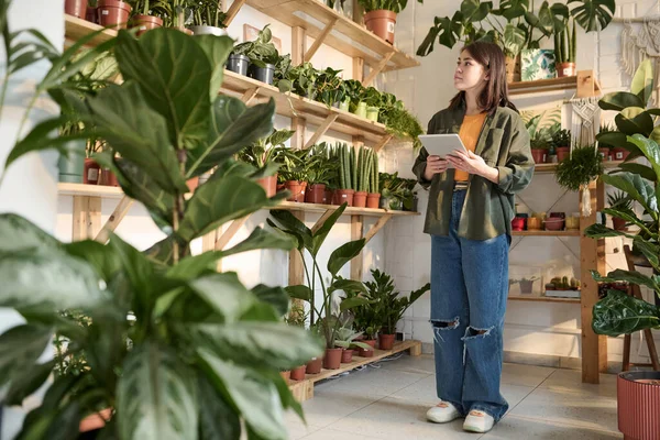 Plant shop worker with tablet in her hands standing near shelves with plants and looking at them