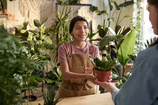 Smiling hispanic woman selling plant in pot to plant store customer
