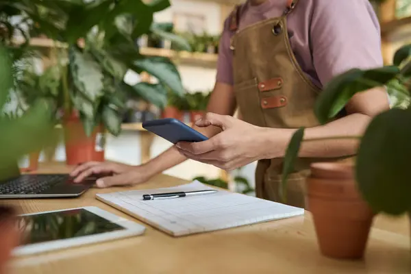 Unrecognizable female plant store worker checking information on smartphone and laptop
