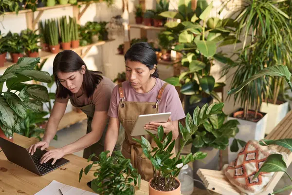 Plant shop employees working together using laptop and digital tablet
