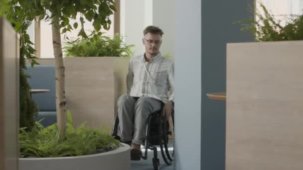 Jungunternehmer Fährt Rollstuhl Durch Modernen Coworking Space Mit Grünen Pflanzen — Stockvideo