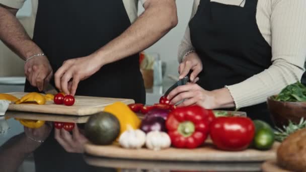 エプロンで若い男性と女性のシェフのハンドヘルドカメラショット 野菜を切断し テレビで料理ショーを主催しながら話す — ストック動画