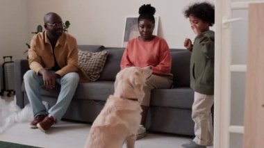 Neşeli Afro-Amerikan ebeveynler kanepeye oturur ve yeni bir daireye taşındıktan sonra oturma odasında köpekle oynayan küçük oğluna bakarlar.
