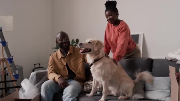 幸せなアフリカ系アメリカ人の家族カップルは 新しいフラットで移動した後 荷物を解除してリビングルームのソファーに愛らしい黄金の回収者を取得 — ストック動画
