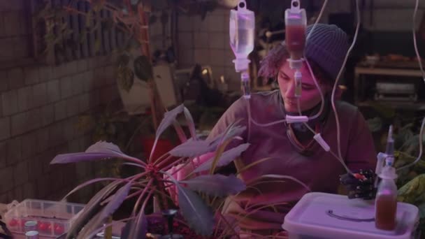 Dívka Bionickou Paží Pečující Rostliny Upevnění Trubice Chemikáliemi Půdu Kontrola — Stock video