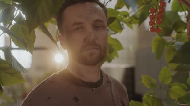 Porträt Eines Postapokalyptischen Überlebenden Verschlissenem Pullover Der Inmitten Grüner Pflanzen — Stockvideo