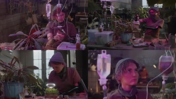 Split Screen Video Girl Prothesis Arm Taking Care Plants Indoor — Stock Video