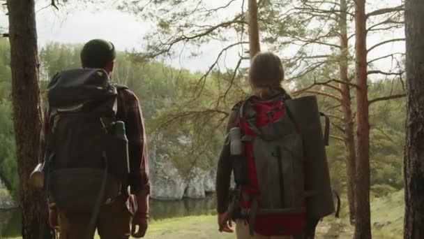 Rückansicht Eines Backpackerpaares Das Auf Einem Hügel Wandert Dann Steht — Stockvideo