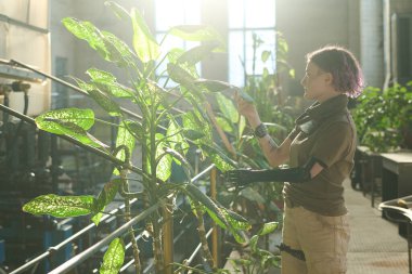 Yan görüntüde protez kollu genç bir kadın kıyamet sonrası evdeki bitkilerle ilgileniyor.