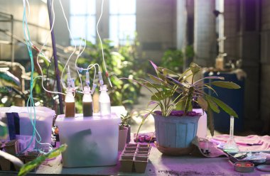 Hiç kimse demlikte evbitkisi, sıvı ve tüpler ile şişeleri post-apokaliptik laboratuarında deney masasında çekmez.