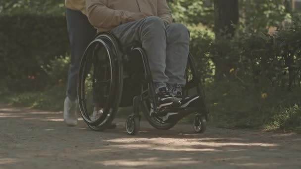 Incline Tiro Câmera Lenta Mulher Empurrando Amigo Alegre Cadeira Rodas — Vídeo de Stock